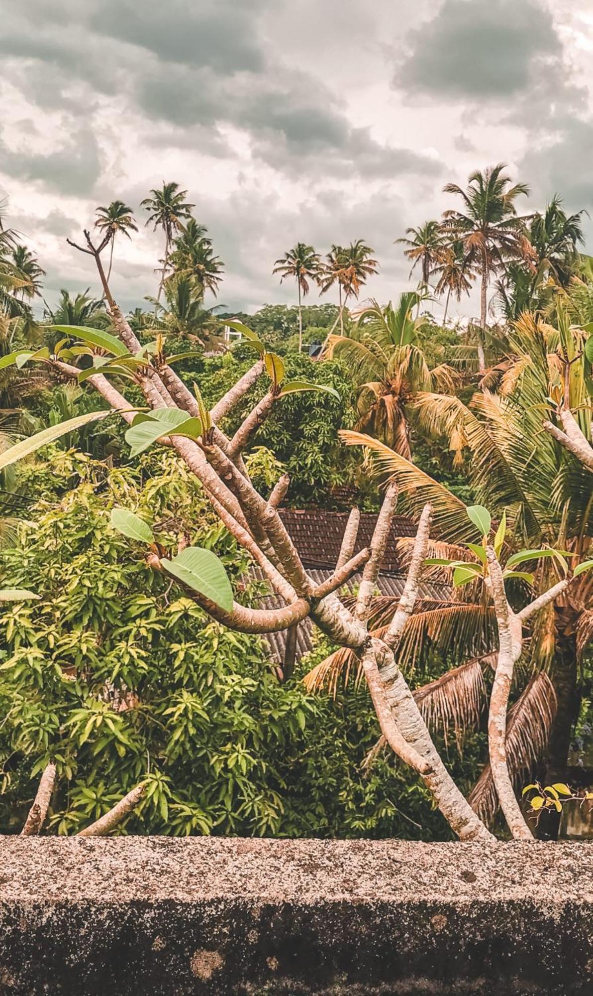 Weligama Bay Eco Villa Luaran gambar